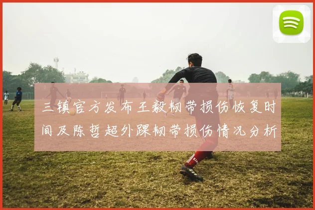 三镇官方发布王毅韧带损伤恢复时间及陈哲超外踝韧带损伤情况分析