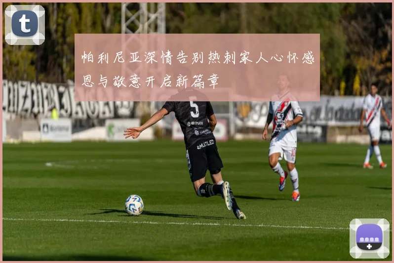 帕利尼亚深情告别热刺家人心怀感恩与敬意开启新篇章