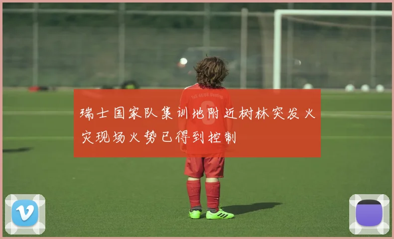 瑞士国家队集训地附近树林突发火灾现场火势已得到控制